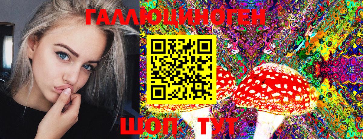 Галлюциногенные грибы Psilocybe  Вход с VPN  наркота  Кириши 