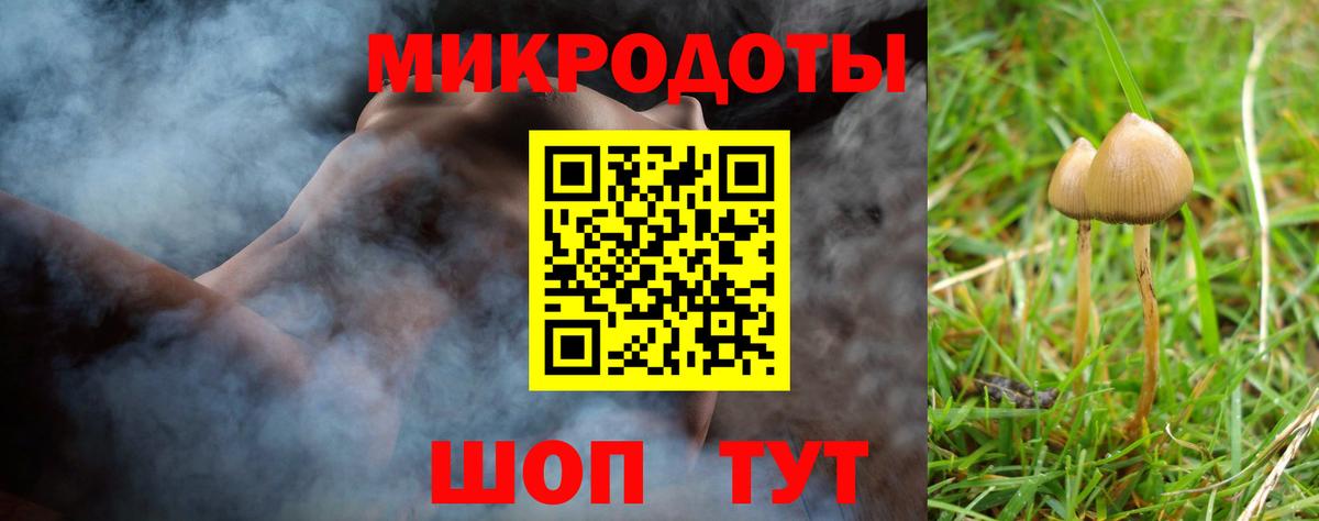 Галлюциногенные грибы Cubensis Кириши